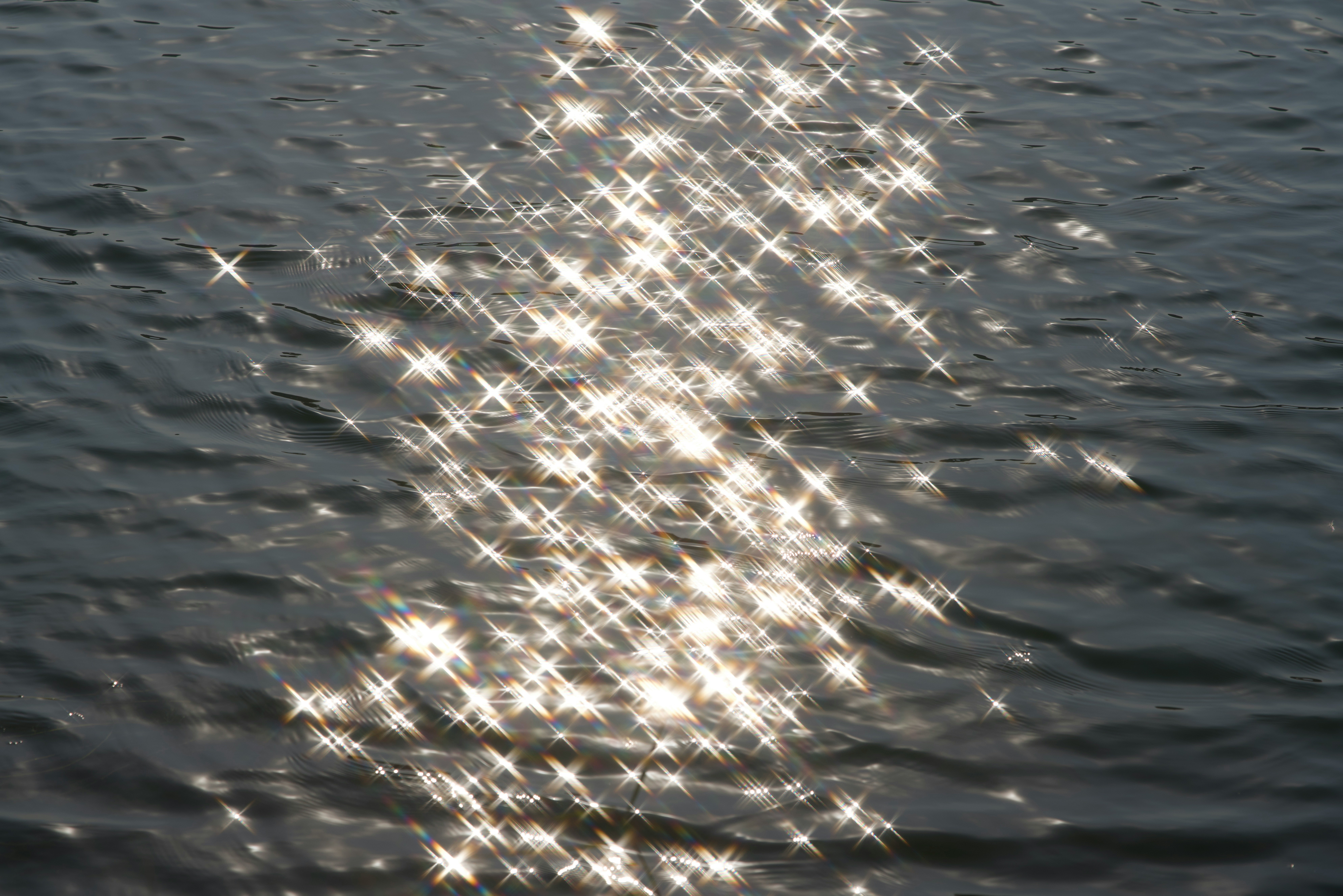 I SHALL ARISE AND SHINE! - Prayers 